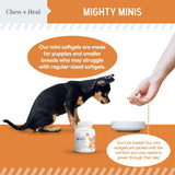 Wild Caught Omega 3 Fish Oil for Dogs - 180 Softgel Capsules for Healthy Skin and Coat - 300 mg Mini Dog Fish Oil Pills for Shedding, Dry Itching Skin, and Hot Spots - Pet Omega Salmon Supplement