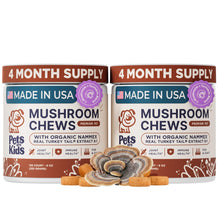 Load image into Gallery viewer, 2-Pack Turkey Tail Mushroom for Dogs with Organic Real Turkey Tail™ - 8:1 Extract Mushroom Chews for Lumps &amp; Bumps, Immunity, Gut, Skin, Joint &amp; Spine Support - Reishi, Lion’s Mane - 120 Soft Chews
