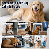 Calming Chews with Melatonin for Dogs 200 ct, Chicken
