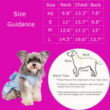 PawPleasure Dog Dress Pet Wedding Dress Princess Puppy Birthday Party Outfit Formal Apparel Girl for Small Medium Dogs Cats (Light Blue, Large)