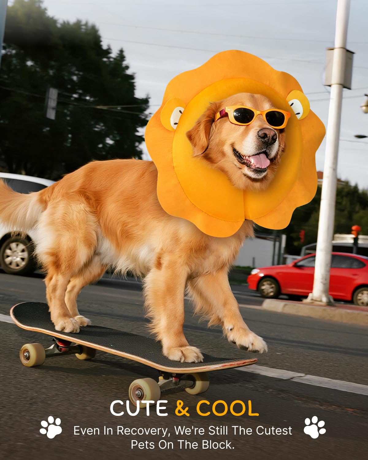 MIDOG Dog Cone Collar for Large Medium Dogs, Soft Inflatable Dog Cone Alternative After Surgery, Adjustable Protective Recovery Cone - Alternative E Collar Does Not Block Vision (Lion,XL)