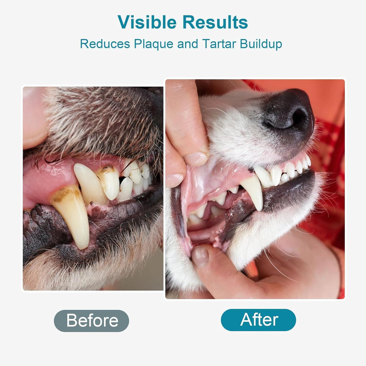 ELEVTC Dog Teeth Cleaning Powder 100g Fights Plaque & Tartar Freshens Breath All-Natural Ingredients for Dogs of All Breeds and Ages Easy to Use Dog Dental Powder