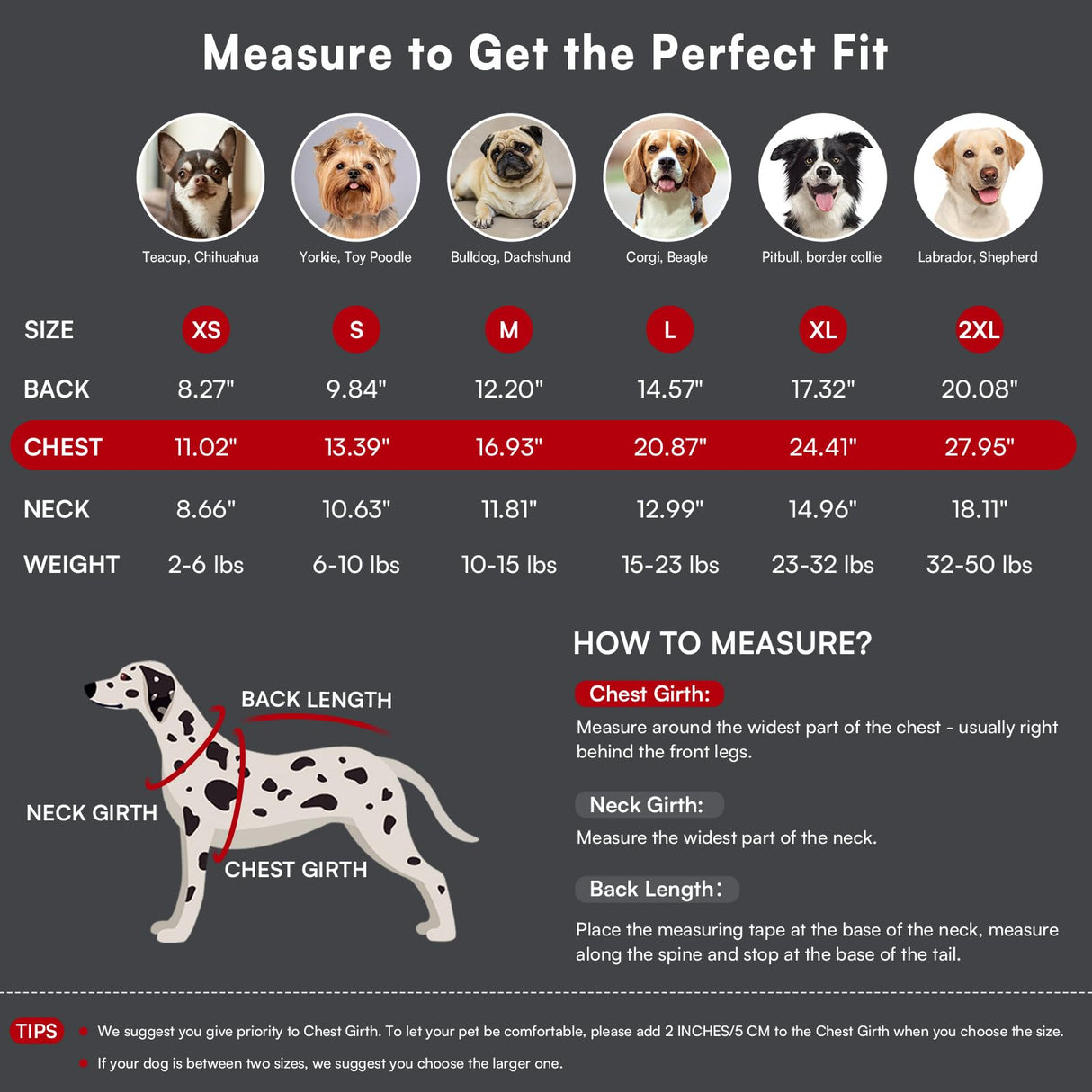Queenmore Dog Sweater,Soft Fleece Vest Pullover Dogs Jacket with Elastic Stretchable,Warm Winter Dog Coats Cold Weather Doggy Dachshund Sweaters for Small Dogs Cats Boy or Girl (Red, L)
