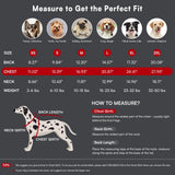 Queenmore Dog Sweater,Soft Fleece Vest Pullover Dogs Jacket with Elastic Stretchable,Warm Winter Dog Coats Cold Weather Doggy Dachshund Sweaters for Small Dogs Cats Boy or Girl (Red, L)