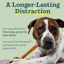 Load image into Gallery viewer, WOOF Bully Sticks Dog Treats - Chew Sticks for Dogs - Long-Lasting Dog Chew Treats - Made with Free-Range, Grass-Fed Beef - 6" Sticks - 5pk
