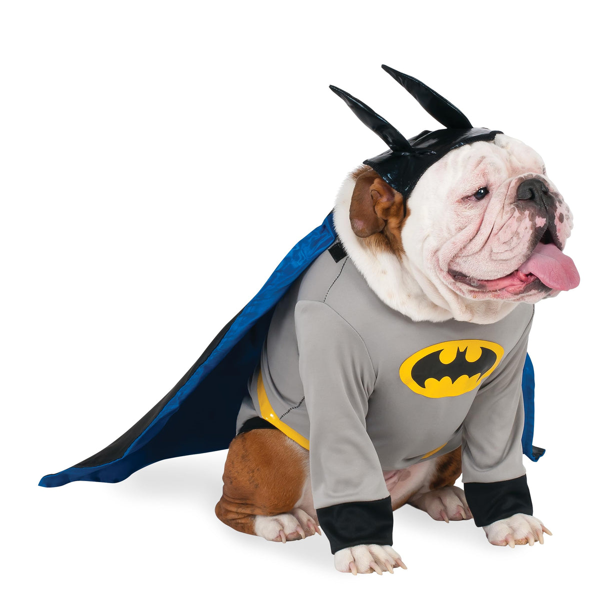DC Comics Superheroes: Batman Pet Costume for Dogs or Cats by Rubies, Large