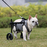 BECROWM Dog Wheelchair for Back Legs, Light Weight Dog&Cat&Pets Wheelchair Cart with Disabled Hind Legs Walking, Adjustable Doggy Wheelchair Cart with Wheels for Back Legs (Grey, Medium（M）)