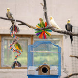 RLRICH 6 Pack Bird Colorful Chewing Toys Parrot Foraging Shredder Toys Shred Hanging Foraging Toys,Comfy Perch Parakeet Toys for Rope Bungee Bird Toy