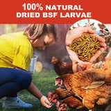 GOLDWORMS 10LB Dried Black Solider Fly Larvae, BSFL is High Protein Chicken Feed with 85x More Calcium Than Dried Mealworms, Poultry Treats, Chickens Love, Birds Love, Hens Love, Ducks Love