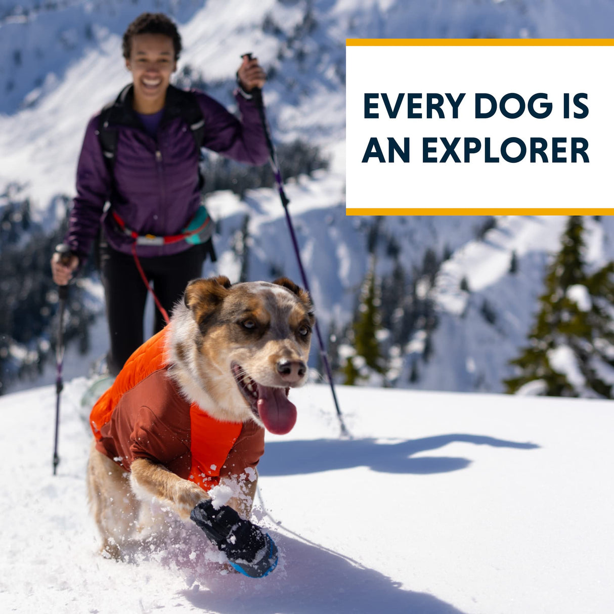 Ruffwear, Powder Hound Dog Winter Jacket, Insulated Softshell Coat with StormSleeve Stretch, Weather-Resistant Shell, Reflective Trim & Light Loop, Cold-Weather Adventures, Persimmon Orange, Small