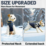 COOHAMS Dog Winter Coat for Small & Medium Dogs, Waterproof Dog Coat with Harness, Puppies Windproof Puppy Puffer Jacket, Snowsuit for Dachshund, Frenchie, Corgi (Classic Blue,XL)