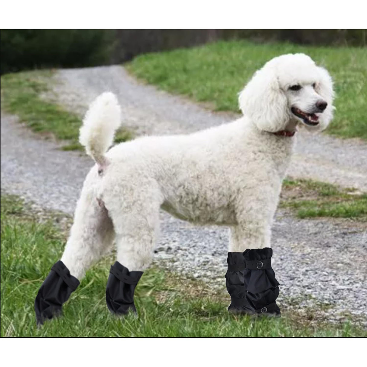 tinkare Waterproof Dog Leg Snoods Dog Leggings Sleeves Protector Leg Wraps Dogs Leg Pom Covering for Poodles Afghan Hound Long Haired Dogs on Rainy or Snowy Days Dog Raincaot