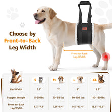 Load image into Gallery viewer, Adjustable Dog Lift Harness Dog Sling for Large Dogs Hind Leg Support Soft Lift Support and Rehab Harness for Weak Rear Legs, Helps Senior, Injured, Disabled and After ACL Surgery Dogs Large

