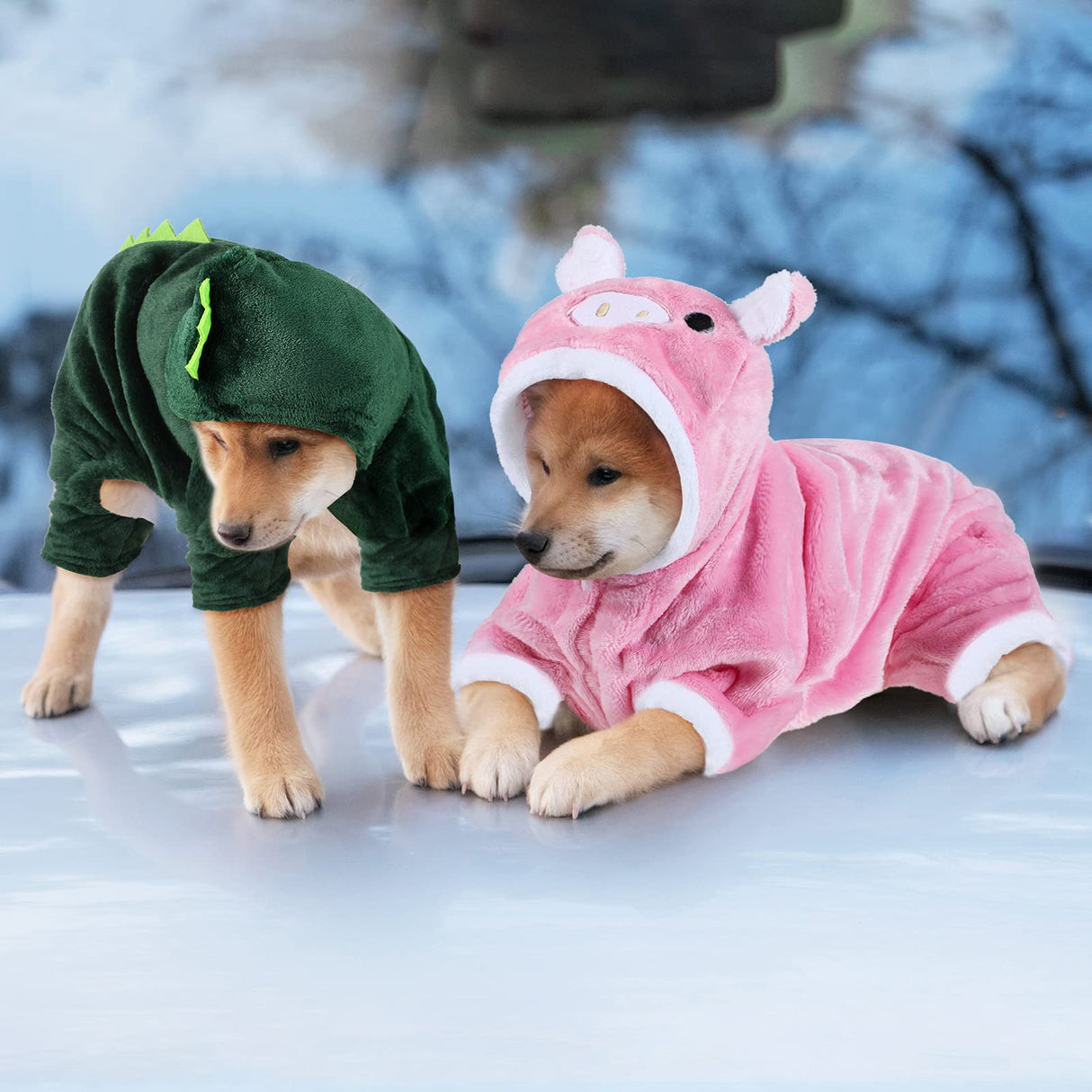 Queekay 2 Pieces Cute Dog Costume Halloween Cat Clothes Pink Pig PET Costume Design Dinosaur Clothing Puppy Outfits PET Hoodie Warm Dress up Clothes for Puppies and Kitten(Medium)