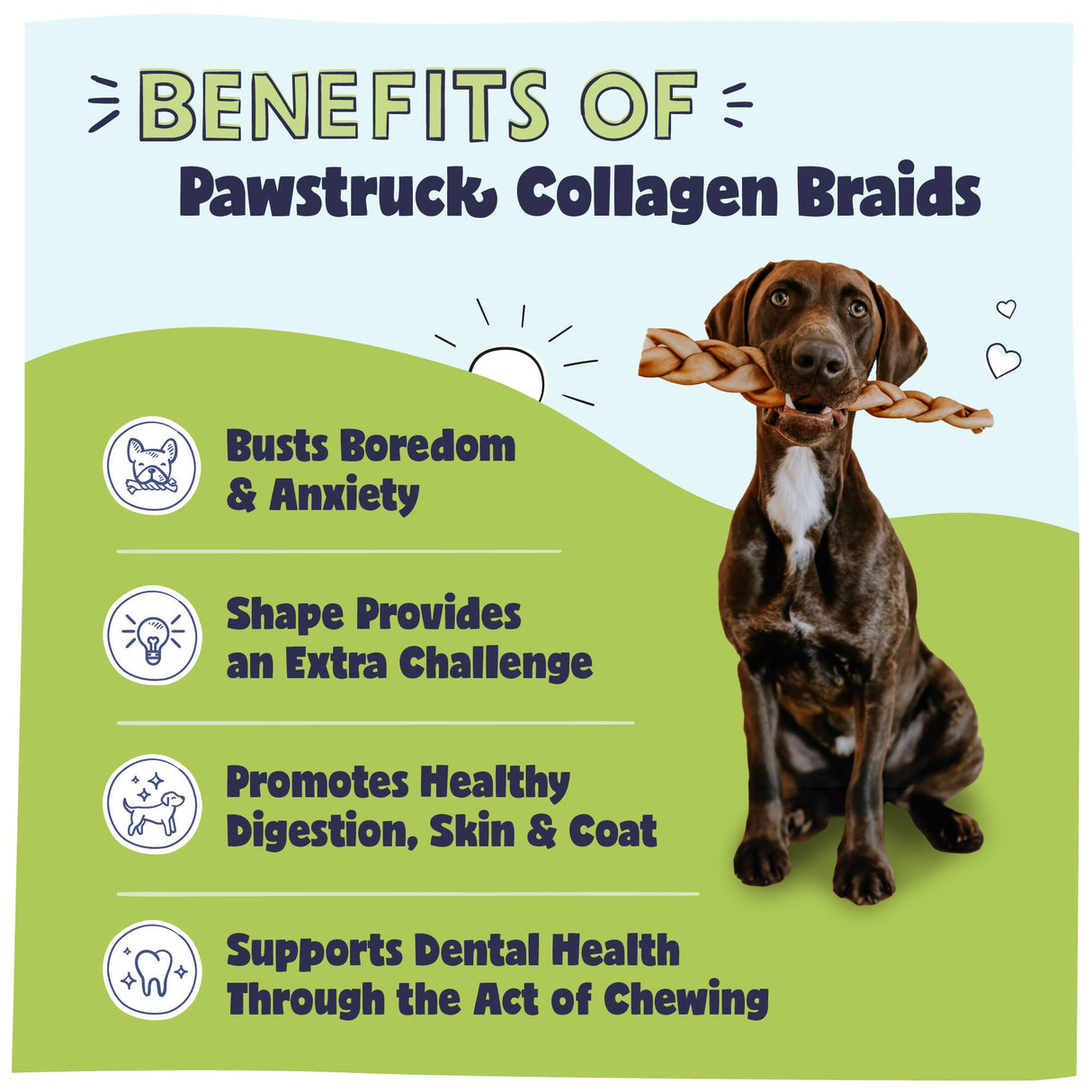 Pawstruck Natural Large 10-13” Beef Collagen Braids for Dogs – Long-Lasting Rawhide & Bully Stick Alternative, with Chondroitin & Glucosamine – 3 Pack