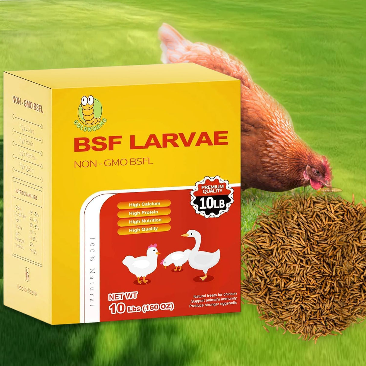 GOLDWORMS 10LB Dried Black Solider Fly Larvae, BSFL is High Protein Chicken Feed with 85x More Calcium Than Dried Mealworms, Poultry Treats, Chickens Love, Birds Love, Hens Love, Ducks Love