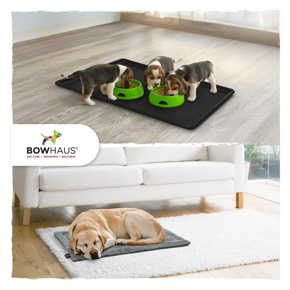 BOWHAUS Machine-Washable Dog Bed Pad & Tray for 36-Inch Kennel, Non-Slip Flat Cozy Sleeping Mat & Easy-Clean Plastic Replacement Crate Pan, Comfortable & Durable for Dogs, Rabbits, Cats, Various Pets