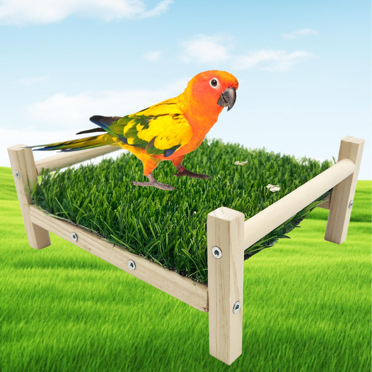 FlidRunest Bird Foraging Bed, Parrot Hammock Bed, Parrot Grass Perch Bed, Bird Perch Conure Platform Grass Forage Toy for Parakeet, Cockatiel, Lovebird, Budgie