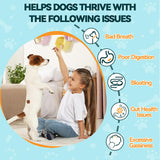 Carmelie Probiotics for Dogs, 200 Soft Chews Digestive Probiotics & Enzymes for Gut Health with Pumpkin, Fibre for Dogs Anti Diarrhea, Upset Stomach, Gas Relief, Itchy Skin & Immune Support (Chicken)