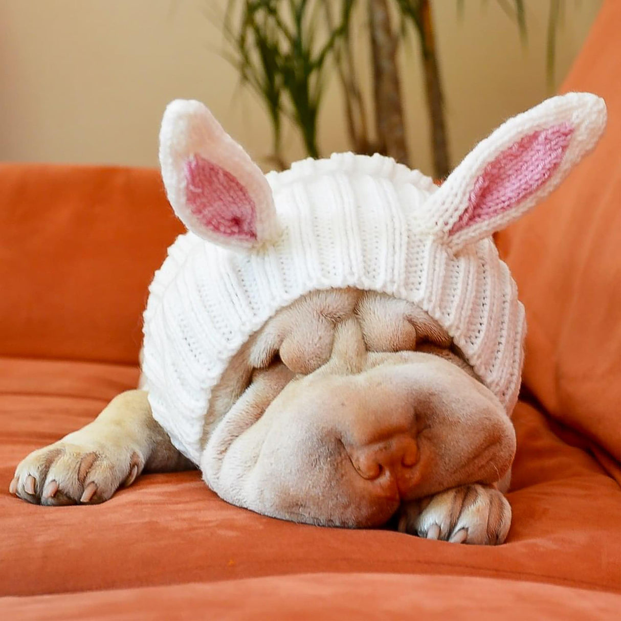 Zoo Snoods Bunny Costume - Knit Easter Dog Snood Ear Wrap for Pets, Warm Neck Cover for Halloween and Winter (Medium)
