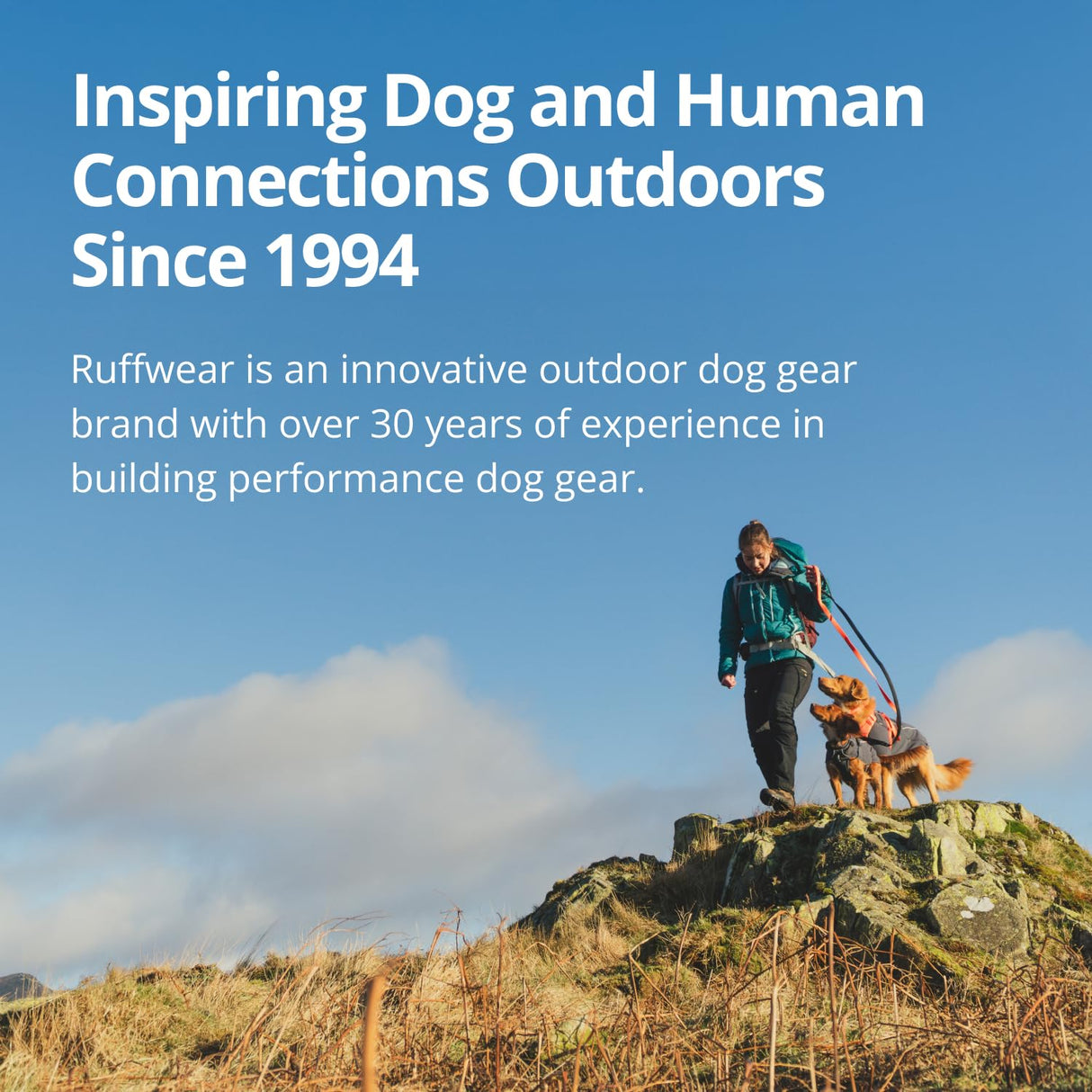 Ruffwear Palisades Dog Backpack, Multi-Day Pack with Removable Saddlebags, Breathable Adjustable Harness, Reflective Trim, Red Currant, Large/X-Large