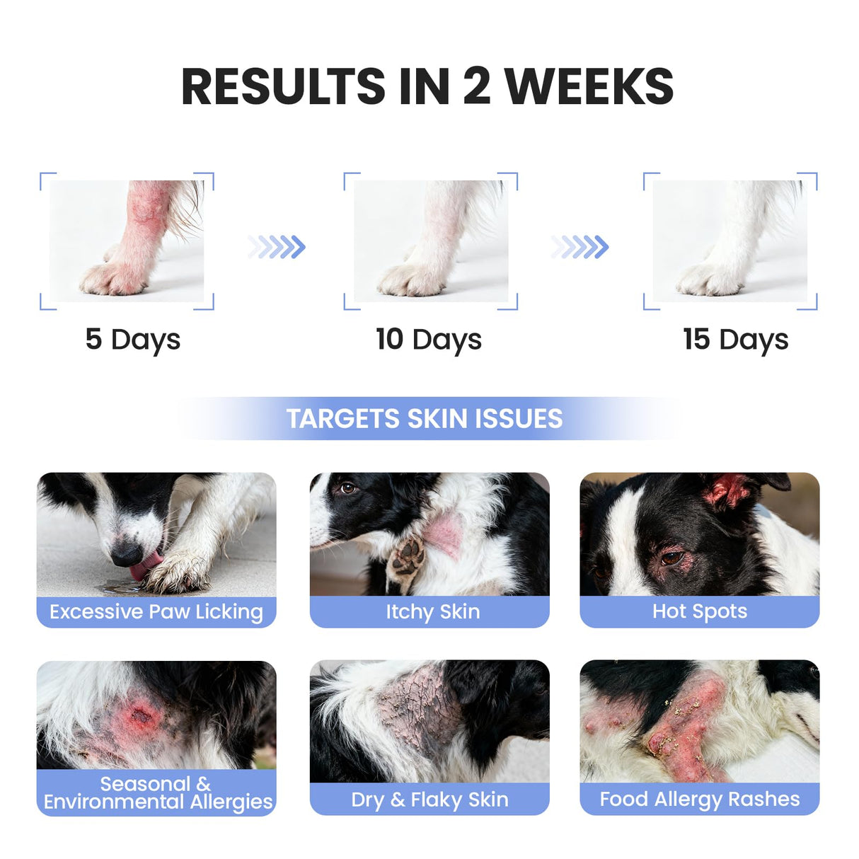 Pawfect Vita Dog Allergy Skin Relief Chews for Hotspot & Dry Skin, Itchy Skin Relief Supplement for Dog Paw Licking, Anti-Itch Soft Chews with Colostrum-Fish Oil-Probiotic to Boost Immune System 180ct