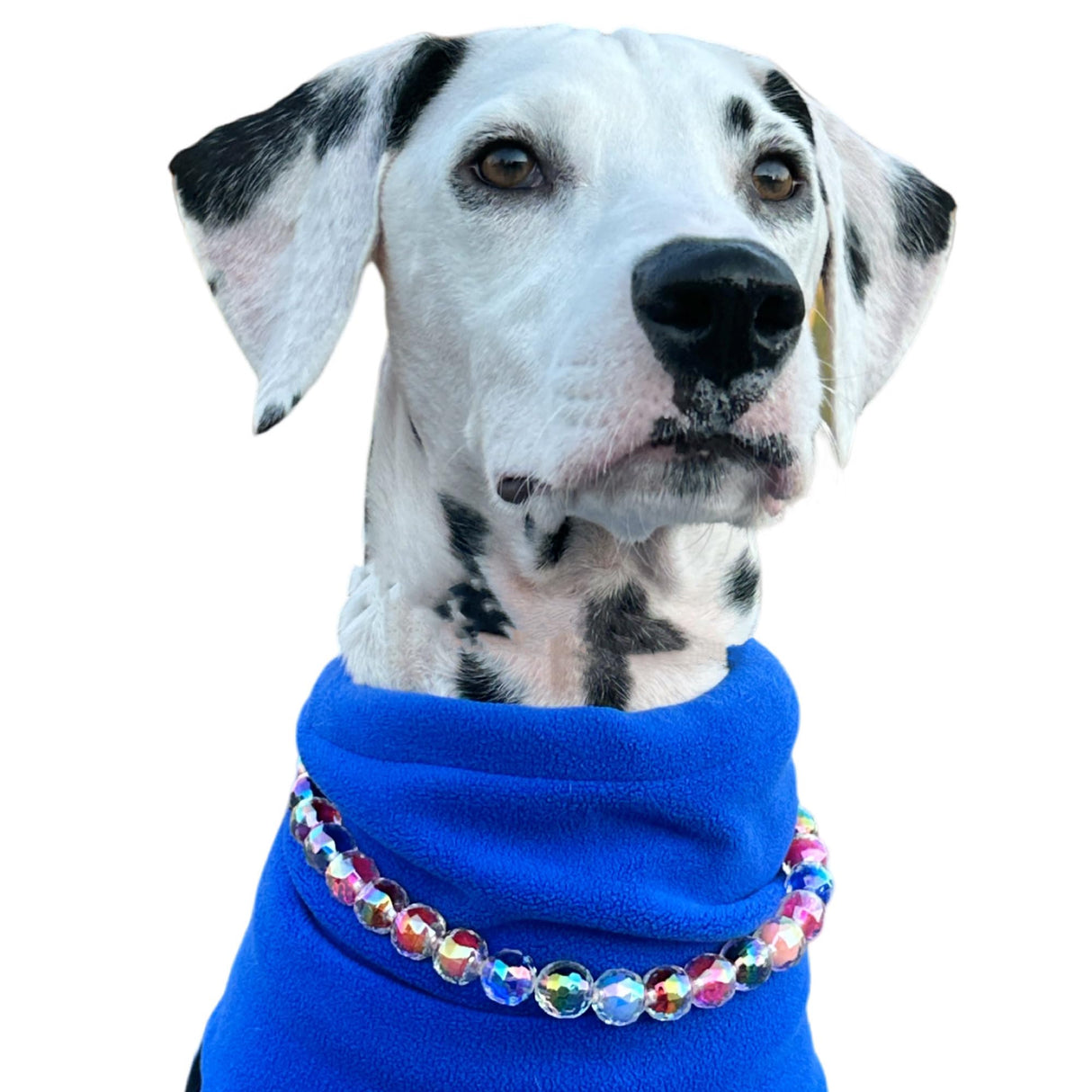 Adjustable Dog Necklace with Elegant Sparkling Colorful Crystal Pearl Beads,Perfect for Parties,Birthdays,Soft and Comfortable, Handmade (18 inches - 20 inches)