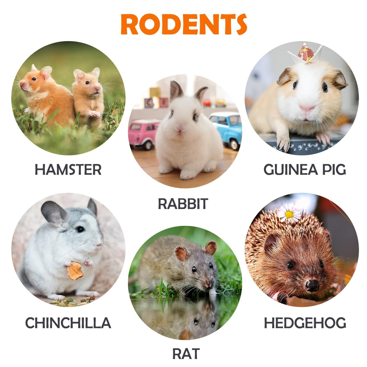 Sofier Rabbit & Guinea Pig Toys 16 Pcs Chew Grass Balls Natural Chews for Rodents - Handmade Enrichment Treats for Chinchillas, Guinea Pigs