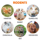Sofier Rabbit & Guinea Pig Toys 16 Pcs Chew Grass Balls Natural Chews for Rodents - Handmade Enrichment Treats for Chinchillas, Guinea Pigs