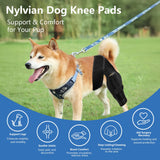 Nylvian Dog Knee Brace for Torn Acl Hind Leg - Adjustable Stabilizing Support for Ccl Injury, Luxating Patella, Hind Leg Pain & Arthritis - Rear Leg Limp Support