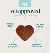 My Lil' Nugget – Vet-Approved Calming Chews for Dogs | All-Natural Calm Treat for Noise, Travel & Home Alone | Chamomile & Melatonin | All-Ages - Senior Dog to Puppy | 90 Beef‑Flavor Soft Chews