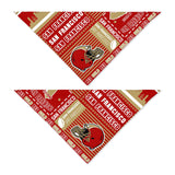 Pet Dog Bandana for Dogs, Football Cats Cotton Reversible Triangle Bid Scarf Perfect Game Day Dog Gifts