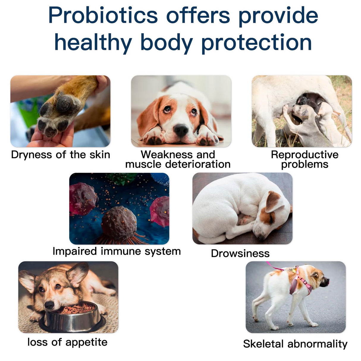 Probiotics for Dogs, Dog Probiotics for Yeast, Itchy Skin and Itchy Ears, Digestive Enzymes with Prebiotics for Digestive Health, Probiotic Chews for Dogs Support Immunity Health - (Chicken 60 Ct)