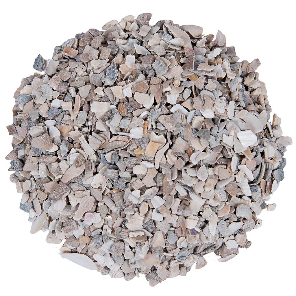 Small Pet Select Flaked Oyster and Seashell Mix - Calcium Supplement for Chickens & Ducks (10lb)