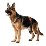 Yinchogee Dog Hip Brace for Hip Dysplasia, Adjustable Dog Hip Support Brace with Targeted Compression, Stabilizes Joints, Relieves Pain from Arthritis, XL