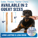 Fetcheroni 12" Collagen Sticks for Dogs – Low Odor Long-Lasting Bully Stick & Rawhide Alternative, Single Ingredient Beef Bone, High Protein Dental Treat, Vet Approved, Improves Joint Health – 20 Pack