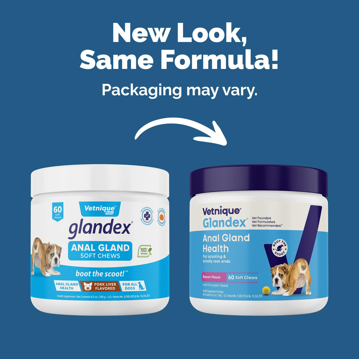 Vetnique Glandex Anal Gland Soft Chew Treats with Pumpkin for Dogs Digestive Enzymes, Probiotics Fiber Supplement for Dogs Boot The Scoot (Bacon Flavor Chews, 60 Count)