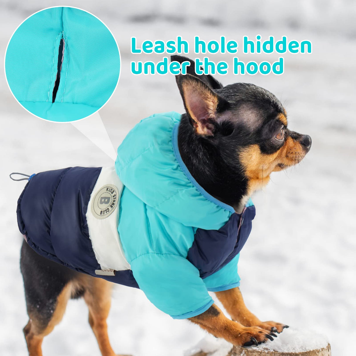FUAMEY Puppy Puffer Jacket, Warm Padded Pet Snow Vest, Cute Windproof Dog Clothes, Waterproof Outdoor Lightweight Small Dog Hoodie, Chihuahua Poodles Yorkshire Pet Apparel M/16