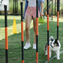 Load image into Gallery viewer, Certified Compostable Dog Poop Bags, 270 Count Landfill Friendly and Leakproof Waste Bags, Easy Open Unscented Forest Green Poop Bag for Dog, 15 Doggy Bags Per Roll (18 rolls)
