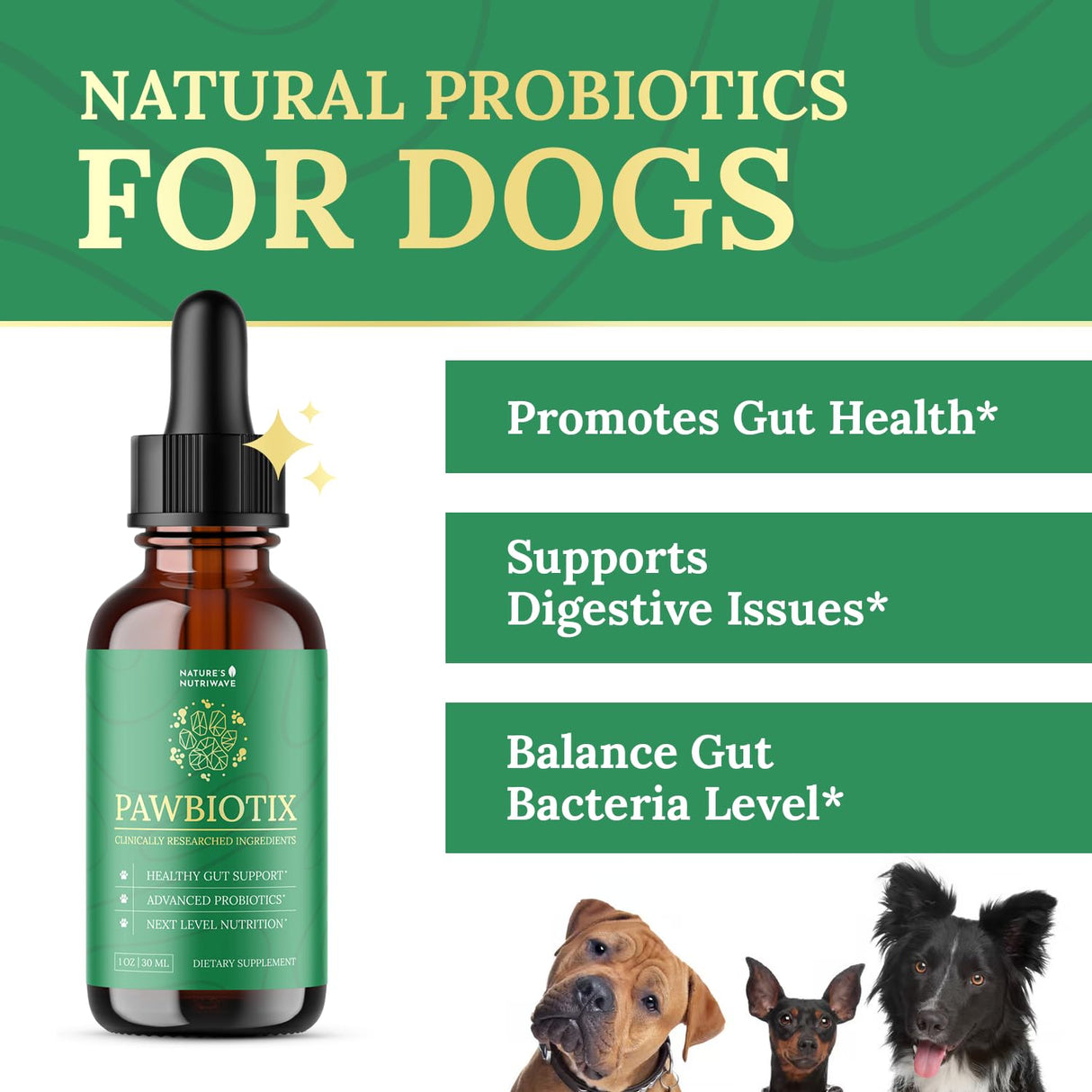 Pawbiotix Liquid probiotics for Dogs - Dog probiotics for Digestive Health | 100% Natural Dog Gut Health probiotics | probiotics for Dogs | Original Formula, Beacon Flavor, 1oz, 1 Month Supply