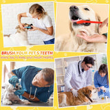 Eaasty 300 Pcs Dog Toothbrush Bulk Dual Headed Dental Brushes Puppy Tooth Brushing Kit Long Handle Toothbrush for Large Small Dogs Cats Puppy Teeth Cleaning Oral Dental Care Supplies 10 Colors