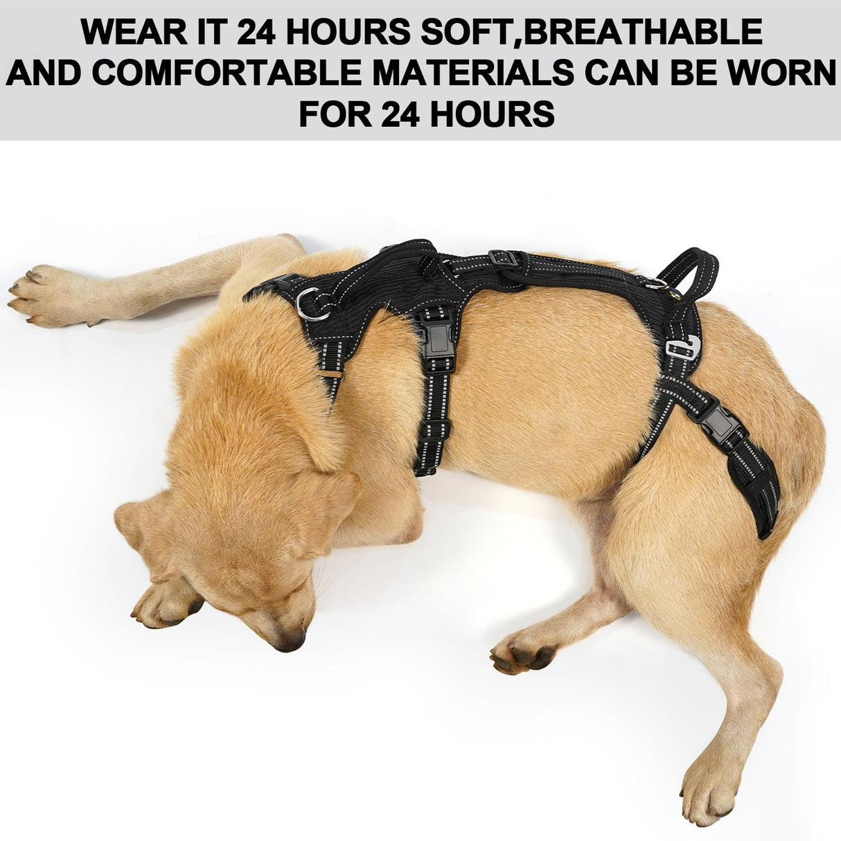 COODEO Mobility Dog Lift Harness, Support Sling & Walking Sling for Dogs, Pet Rear Leg Rehabilitation Support Vest, Dog Carrier for Senior Dogs with Joint Injuries, Arthritis, Up Stair (Black, XL)