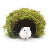 SanmooAio Hamster Hideout - Large, Natural Moss, Handcrafted for Syrian Hamsters, Rats & Guinea Pigs, Safe & Eco-Friendly