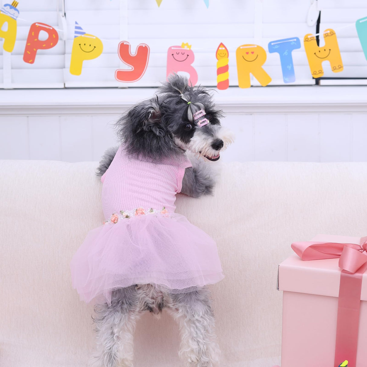 CuteBone Pink Tulle Skirt Dog Wedding Bridesmaid Dress for Puppy with Lace Trim at Waist - Comfortable, Stylish, and Perfect for Special Occasions HBQ01L