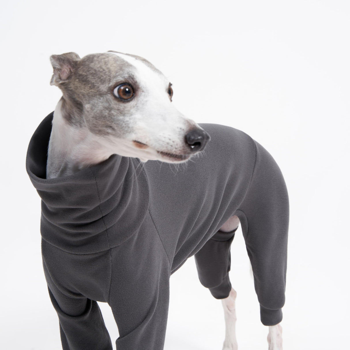 ESCCBOO Cozy Cotton Fluffy Underwear Onesie for Italian Greyhounds and Whippets, Super Soft Warm Pajamas and Jumpsuit(Large, Grey)