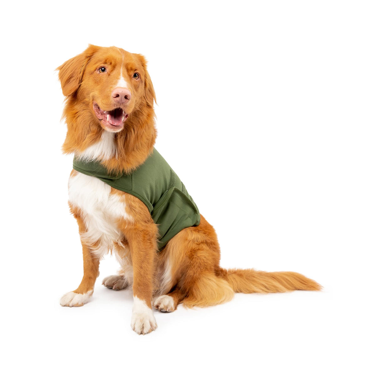 Mellow Shirt Dog Anxiety Calming Wrap, Medium, Cypress