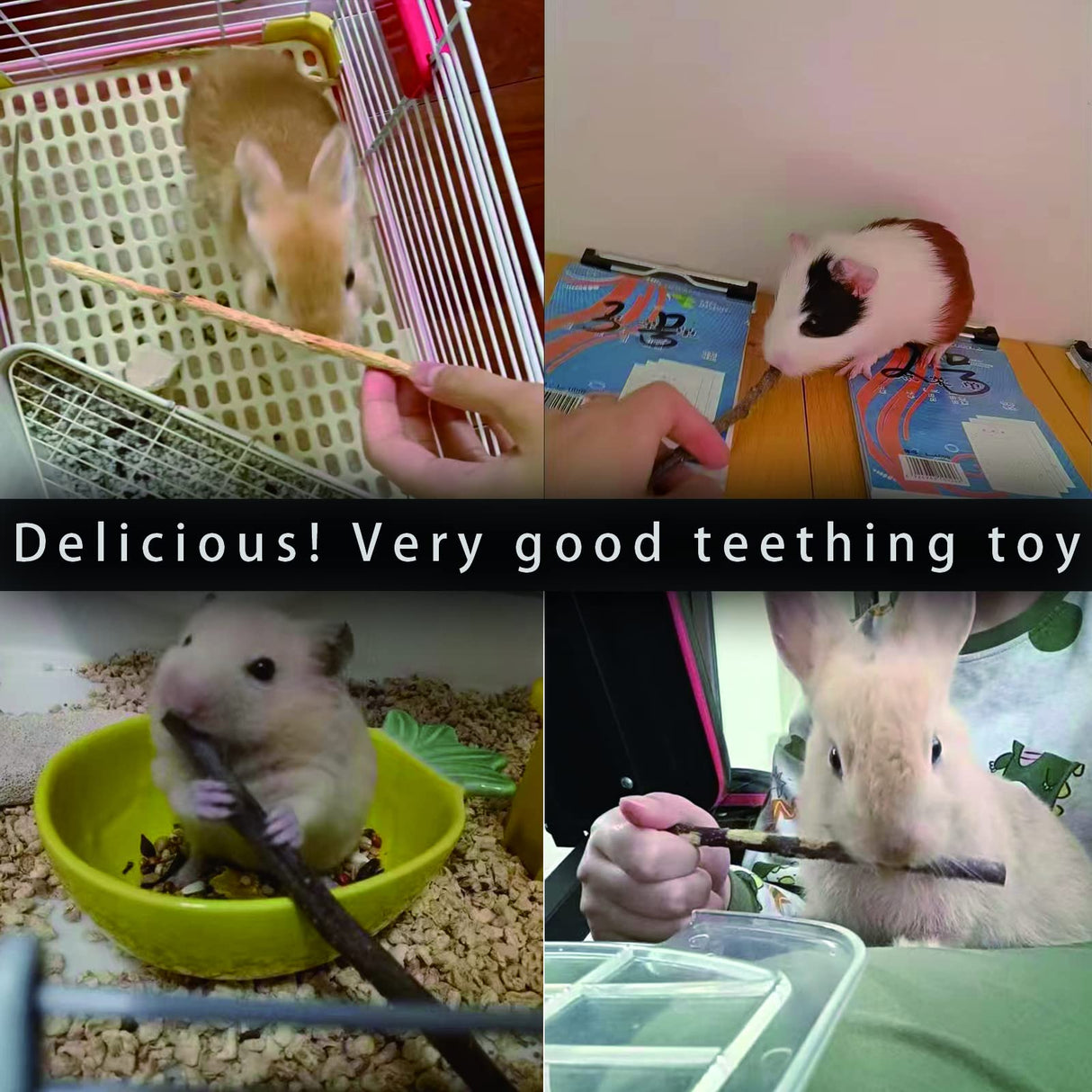 CHUHUAYUAN Natural Apple Sticks, 500g Treats Food for Small Animals, Chew Toys for Chinchilla Guinea Pigs Rabbit Squirrel Hamster Bunny