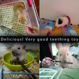 CHUHUAYUAN Natural Apple Sticks, 500g Treats Food for Small Animals, Chew Toys for Chinchilla Guinea Pigs Rabbit Squirrel Hamster Bunny