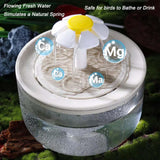 Petlex Bird Bath Indoor Automatic Parrot Shower Bathtub with Pump Recirculating Filtration Safe for Birds to Bathe or Drink, Perfect for Parakeets Budgie Cockatiels Lovebirds Finches Canaries