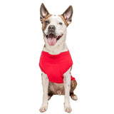 Lifeguard Dog Tee Shirt | Sleeveless | Sizes for Puppies, Toys and Large Breeds (53 Red, Small)